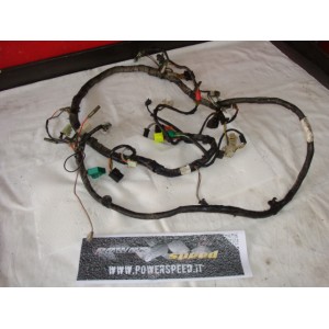 Suzuki Burgman 125 2002 -Cablaggio principale