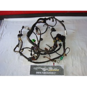 Suzuki Burgman 250 2004 - Cablaggio principale