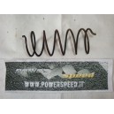 suzuki burgman 250 business 2002 - molla di contrasto