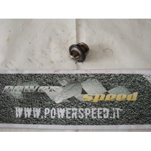 suzuki burgman 250 business 2002 - termostato