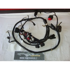 honda pantheon 125 2006 - cablaggio principale