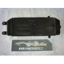 suzuki epicuro 125 1999 - radiatore
