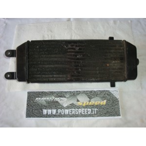 suzuki epicuro 125 1999 - radiatore